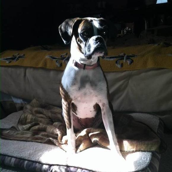 Meet your Posher, James - Picture 1 of 1